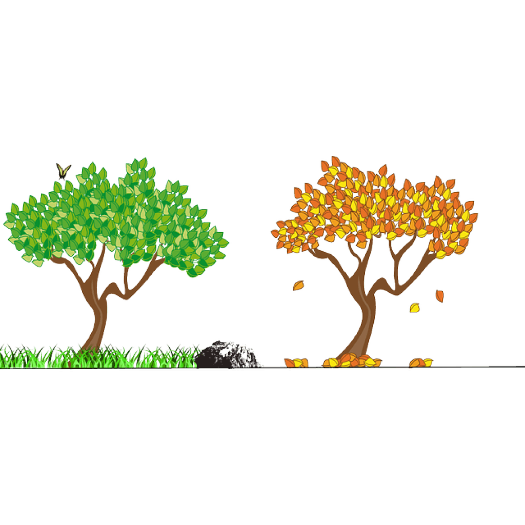 Suivez les saisons de la médecine chinoise